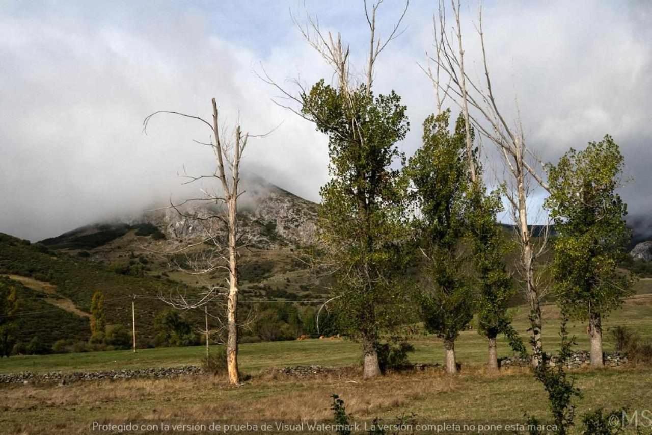 Casa Rural La Parda Triollo المظهر الخارجي الصورة